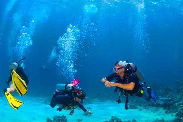 Roatán Reactive Refresher Dive Course — Rebuild Skills on the Mesoamerican Reef