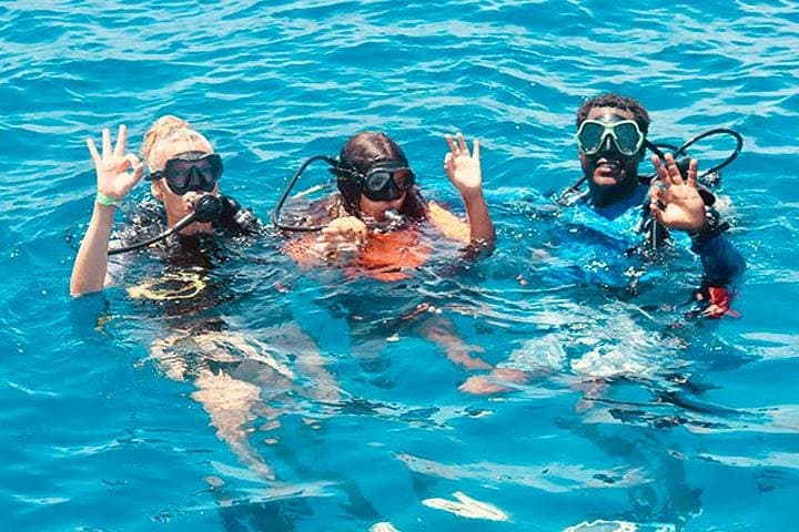 Roatán Reactive Refresher Dive Course — Rebuild Skills on the Mesoamerican Reef photo 6