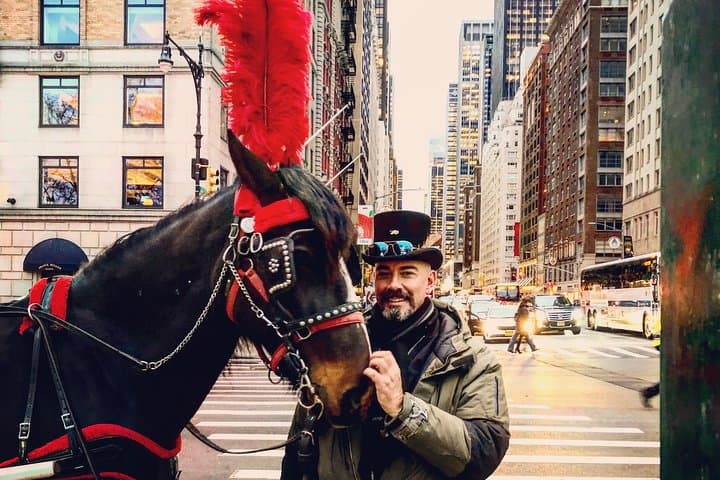 Central Park Short Horse Carriage Loop — 20-Minute Ride from 59th & 6th photo 5