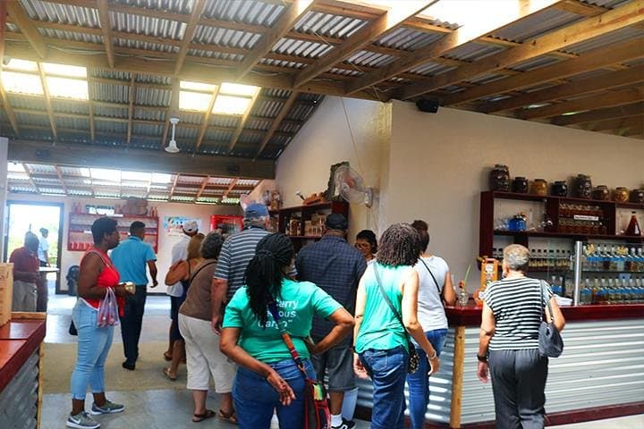 Roatan Chocolate, Rum & Cigar Factory Shore Excursion from Coxen Hole photo 2