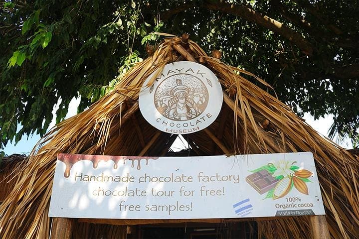 Roatan Mega Excursion: Zipline, Sloths, Chocolate & Beach Day Trip photo 3