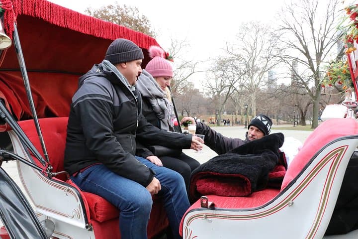 Romantic Proposal Carriage Tour in Central Park — Private Horse-Drawn Ride & Photographer photo 4