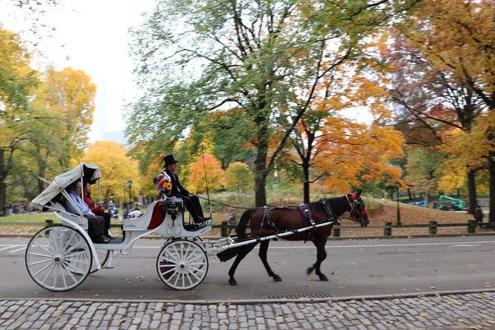 Romantic Proposal Carriage Tour in Central Park — Private Horse-Drawn Ride & Photographer photo 5