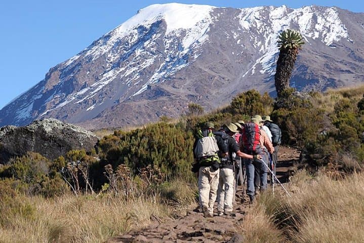 Scaling Mount Kilimanjaro via the Marangu Route: A 6-Day Journey from Rainforest to Summit photo 4