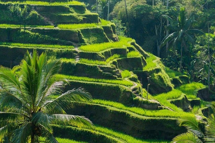 Custom Private Bali Shore Excursion — Ubud Temples, Waterfalls & Beaches in One Day photo 2
