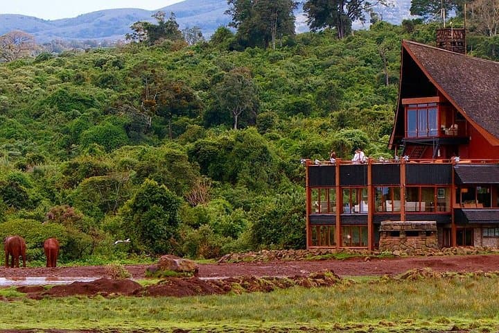 Overnight Aberdares Safari: Waterhole Wildlife Viewing from a Lodge Balcony photo 3