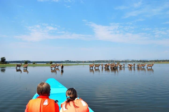 Hell's Gate & Lake Naivasha Day Tour: Bike the Gorges and Spot Hippos photo 6