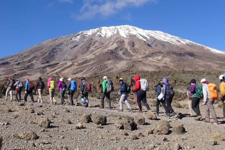 Marangu Route Kilimanjaro Climb: 6-Day Guide to Uhuru Peak photo 2