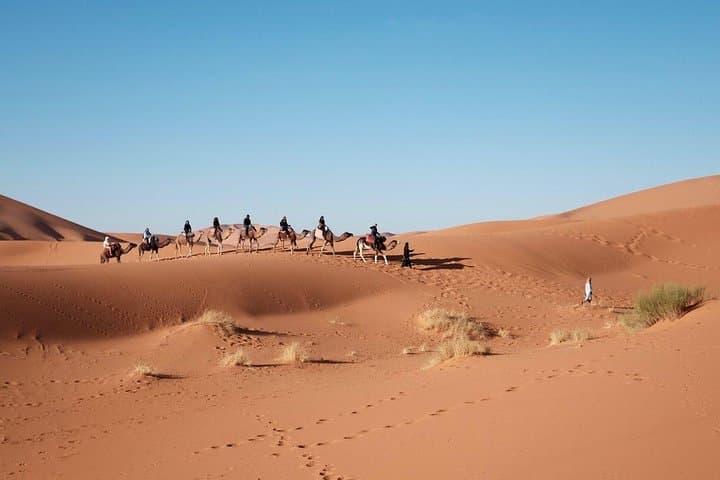 Camel Riding in Dubai Desert: A Traditional Caravan Experience