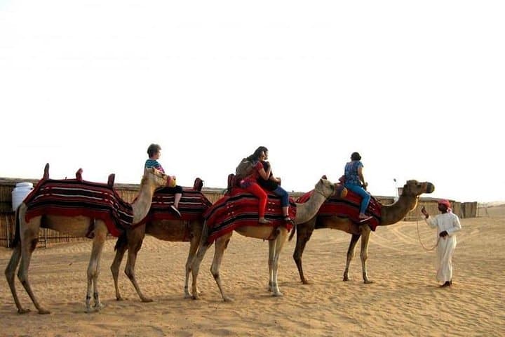 Camel Riding in Dubai Desert: A Traditional Caravan Experience photo 2