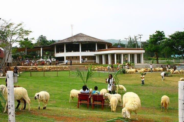 Ratchaburi Day Escape: Caves, Hot Springs & Vintage Farms from Bangkok photo 4