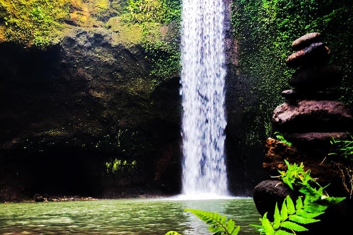Ubud Swing, Temple & Waterfall Highlights — Full-Day Ubud Adventure photo 2