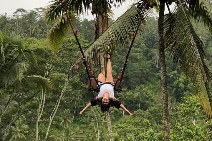 Ubud Swing, Temple & Waterfall Highlights — Full-Day Ubud Adventure photo 5