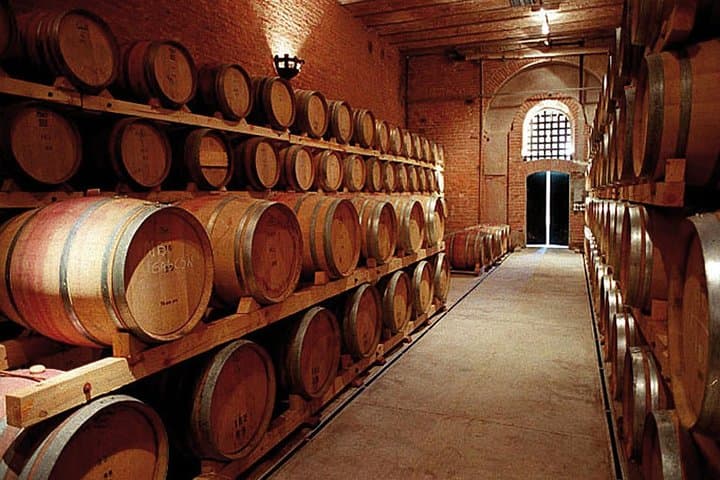 Mendoza Wine Route: Full-Day Private Maipú Wine & Olive Oil Tour with Lunch photo 6