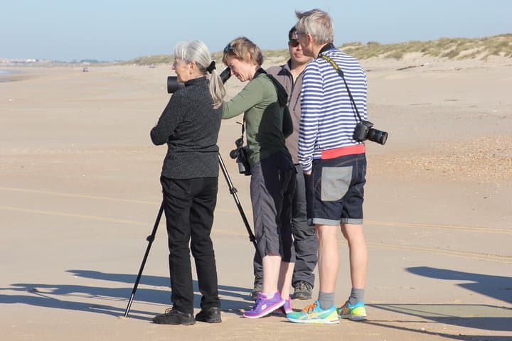 Full-Day Doñana National Park & Matalascañas Guided Tour from Seville photo 5