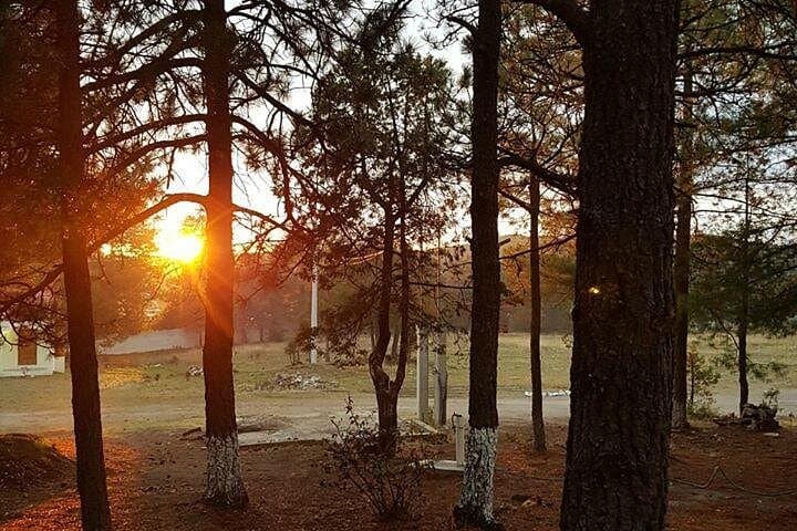Creel Combined Tour: Tarahumara Villages, Arareko Lake & Cusarare Waterfalls