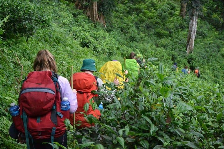 3-Day Chiang Dao Mountain Trek: Ridge Hike, Hill-Tribe Homestays & Mae Taeng Valley