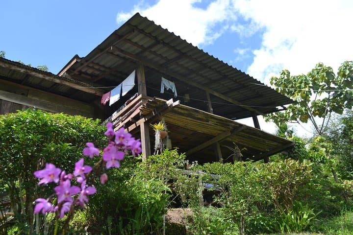 3-Day Chiang Dao Mountain Trek: Ridge Hike, Hill-Tribe Homestays & Mae Taeng Valley photo 5