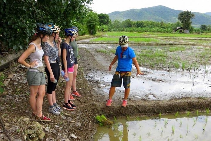 Full-Day Cycle and Kayak in Sri Lanna National Park: Mae Ngat Valley Adventure photo 2