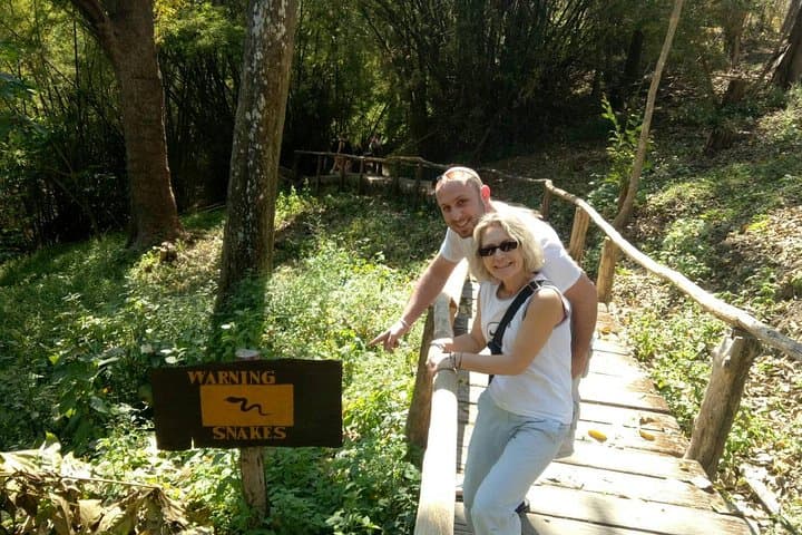 Doi Suthep & Sticky Bua Thong Waterfalls: Private Day Tour from Chiang Mai photo 2