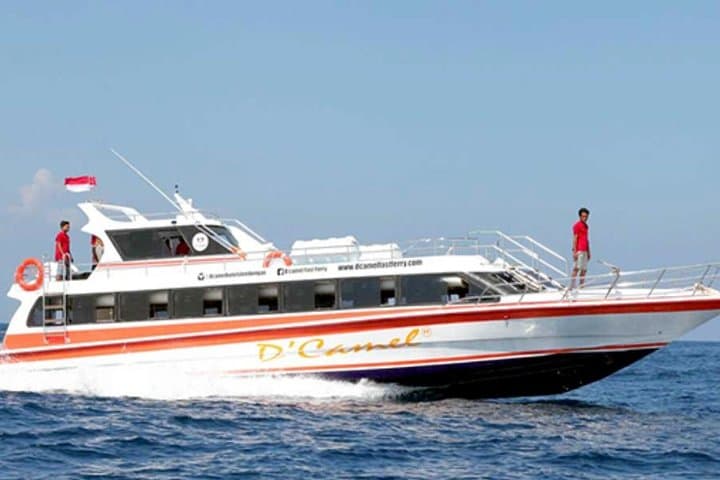 Full-Day Nusa Penida Adventure: Kelingking, Broken Beach & Diamond Beach from Bali photo 5