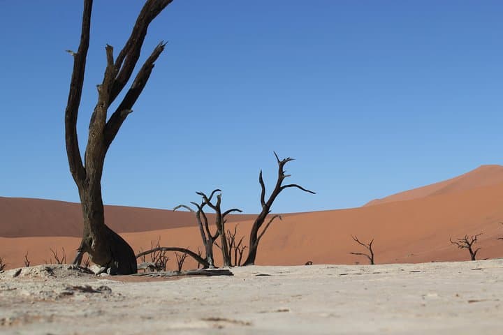 Sossusvlei to Swakopmund: 6-Day Self-Drive Adventure Through the Namib Desert