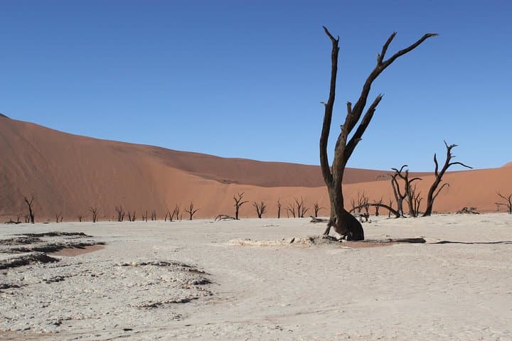 Sossusvlei to Swakopmund: 6-Day Self-Drive Adventure Through the Namib Desert photo 3