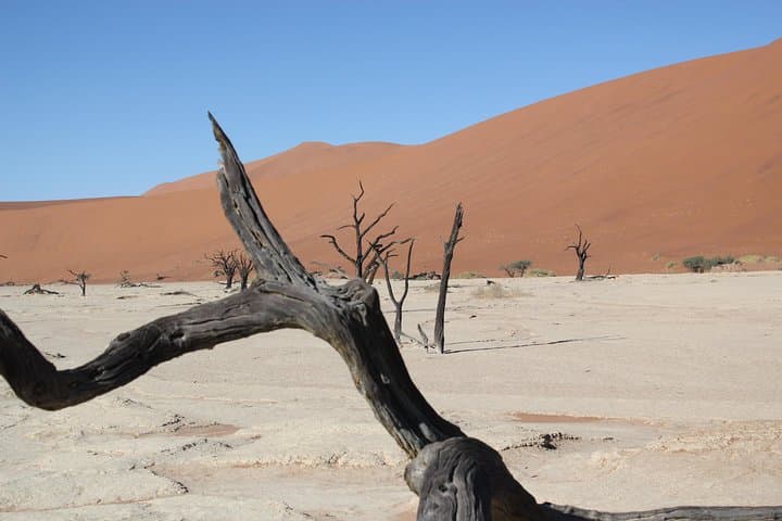 Sossusvlei to Swakopmund: 6-Day Self-Drive Adventure Through the Namib Desert photo 4