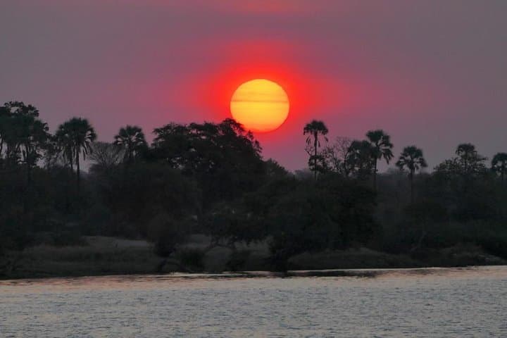 Upper Zambezi Sunset Cruise: Victoria Falls Evening River Safari photo 2