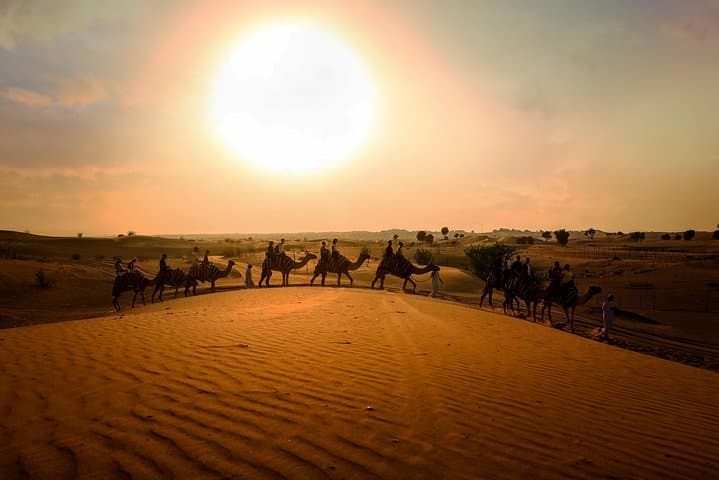 Dubai Sunset Camel Trekking and BBQ Dinner: Evening Desert Camp Experience