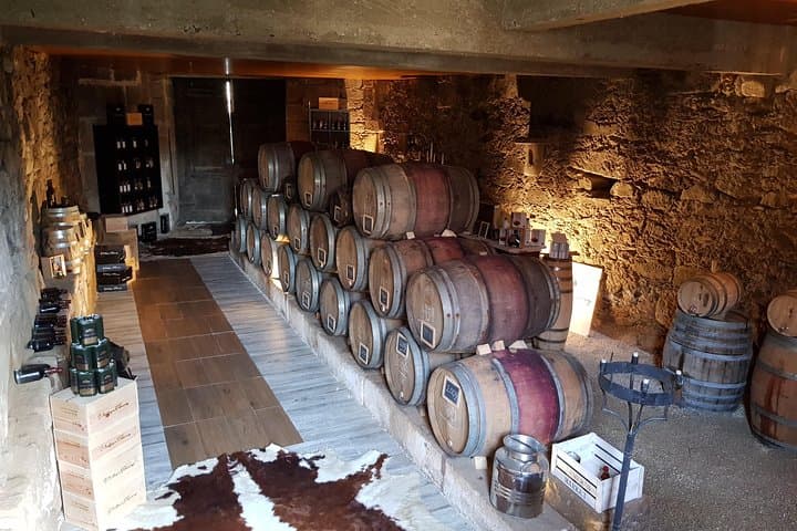 Private Douro Valley Wine Tour: Visit Three Vineyards with Lunch from Porto photo 5