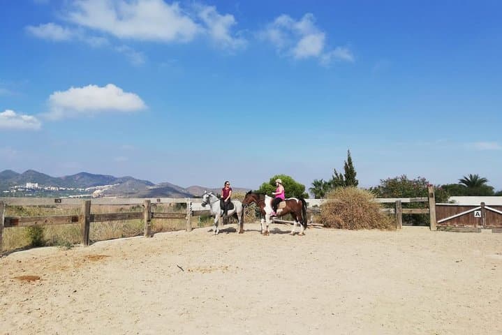 Coastal Horseback Riding in Calblanque Regional Park, Cartagena photo 6