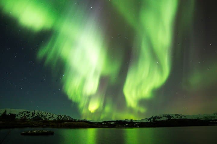 Reykjavik Whale Watching and Northern Lights Combo Tour photo 2