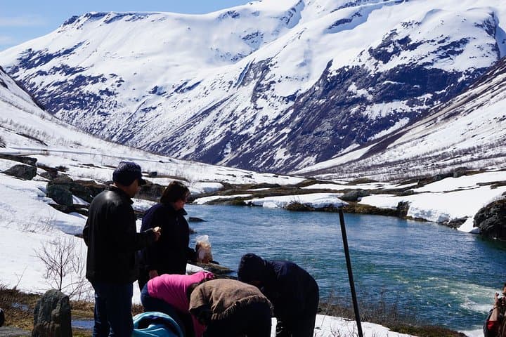 Geiranger to Briksdal: Private Day Tour of Fjords, Mountain Roads & Glaciers photo 2