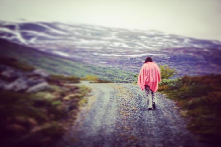 Geiranger to Briksdal: Private Day Tour of Fjords, Mountain Roads & Glaciers photo 3