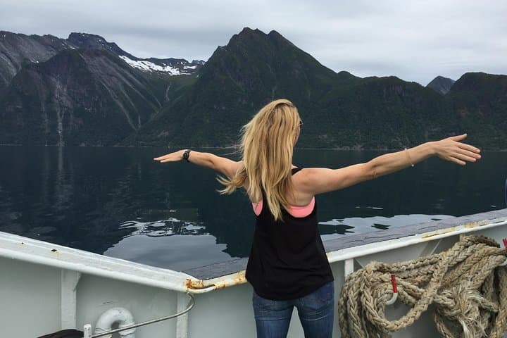 Geiranger to Briksdal: Private Day Tour of Fjords, Mountain Roads & Glaciers photo 4
