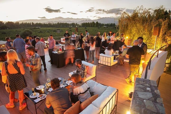 Mendoza Wine Route: Full-Day Private Maipú Wine & Olive Oil Tour with Lunch photo 4