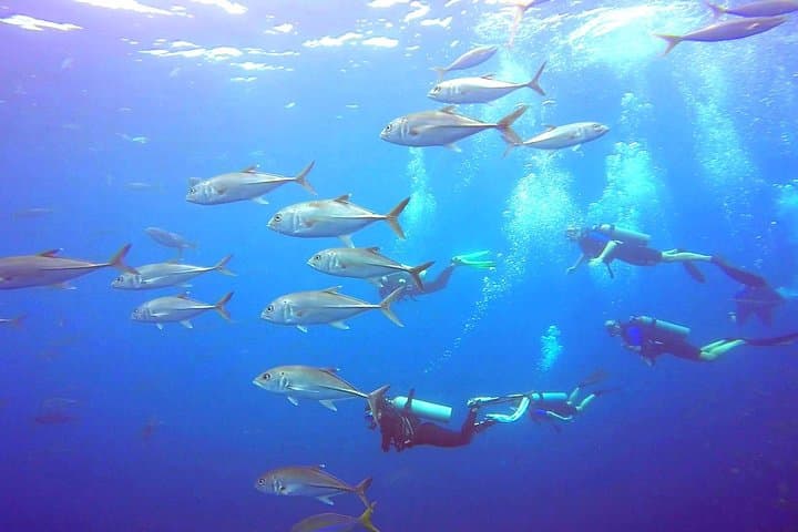 Tamarindo SSI Open Water Diver Course: Learn to Scuba in Costa Rica’s Pacific photo 3