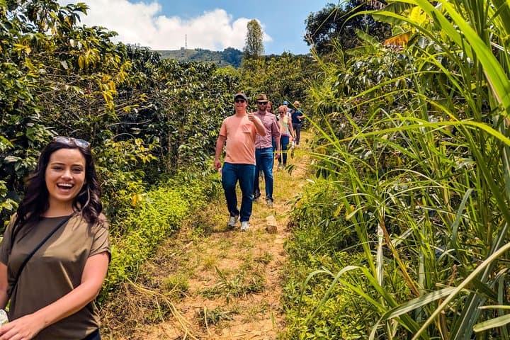 Medellín Half-Day Coffee Tour: Seed to Cup Farm & Micro-Roastery Experience photo 2