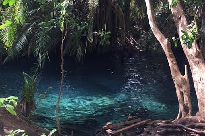 Moshi Hot Springs Day Trip: Swim Warm Natural Pools Under Mount Kilimanjaro photo 3