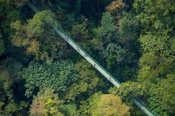 Arenal Sky Walk: Hanging Bridges, Waterfalls & Rainforest Guide photo 4