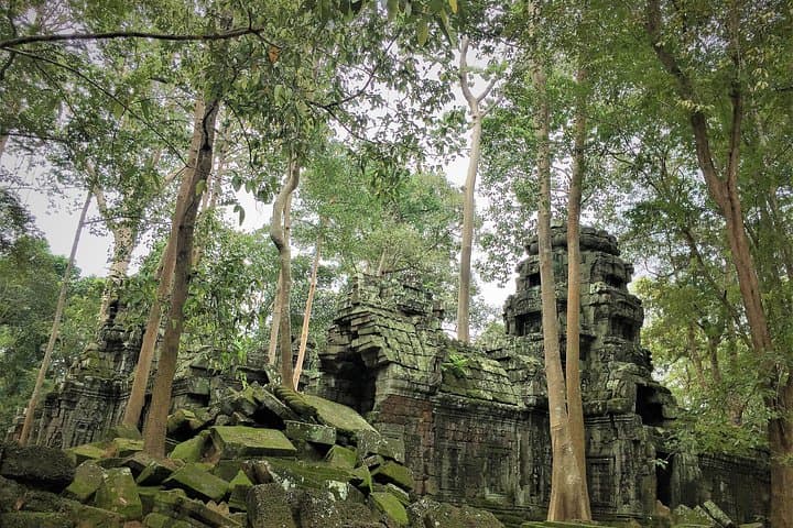 VIP Sunrise Full-Day Angkor Wat Tour: Sunrise, Bayon & Ta Prohm photo 5
