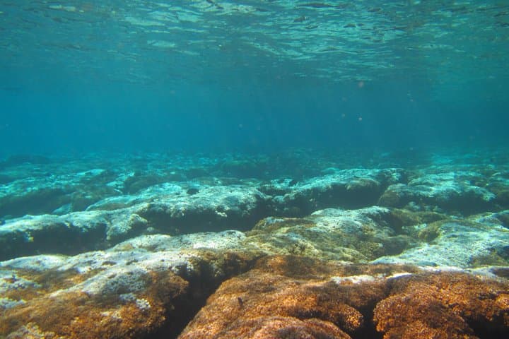 Private Snorkel in Huatulco — 2–3 Hour Guided Reef Swim in Bahías de Huatulco photo 2
