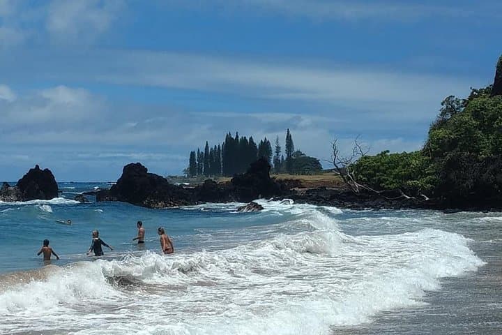Private Hana Beaches Tour: Waianapanapa Black Sand, Hamoa & Hookipa photo 3