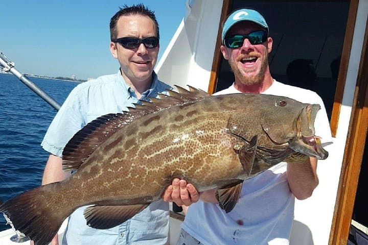 Half-Day Shared Deep-Sea Sportfishing from Fort Lauderdale — Sailfish, Mahi & Wahoo photo 5