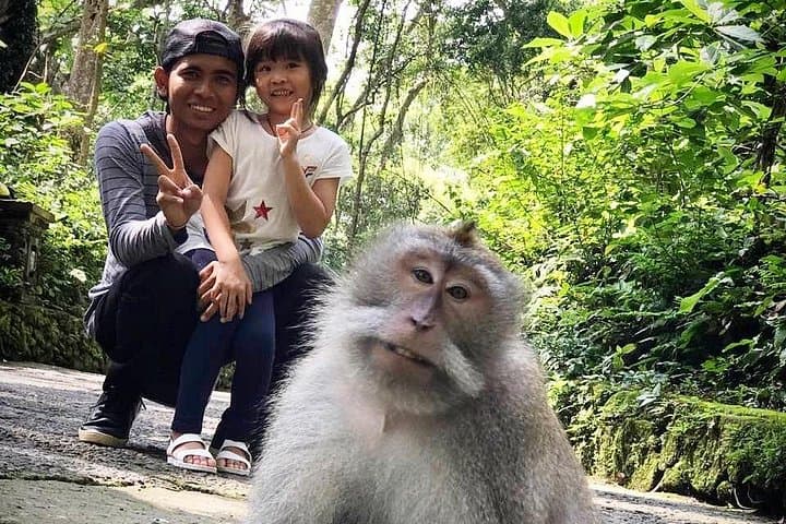 Best of Ubud: Full-Day Culture, Rice Terraces & Waterfall Tour photo 2