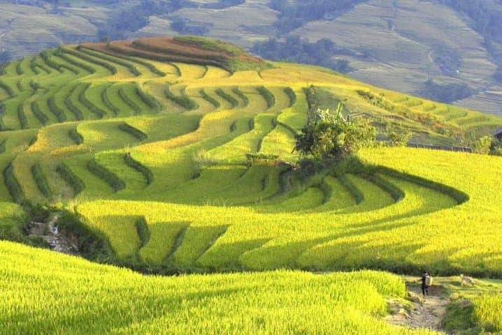 Sapa 3-Night Trek & Ta Van Homestay: Muong Hoa Valley Cultural Trek from Hanoi photo 3