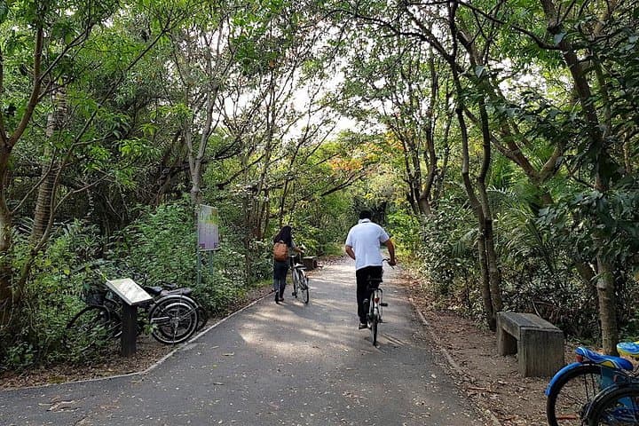 Bangkok Green Lung: Cycling Bang Krachao's Inner-Jungle by Bike photo 3