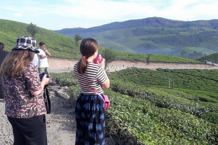 Kerala One-Week Tour: Kochi, Munnar, Thekkady & Alleppey photo 6