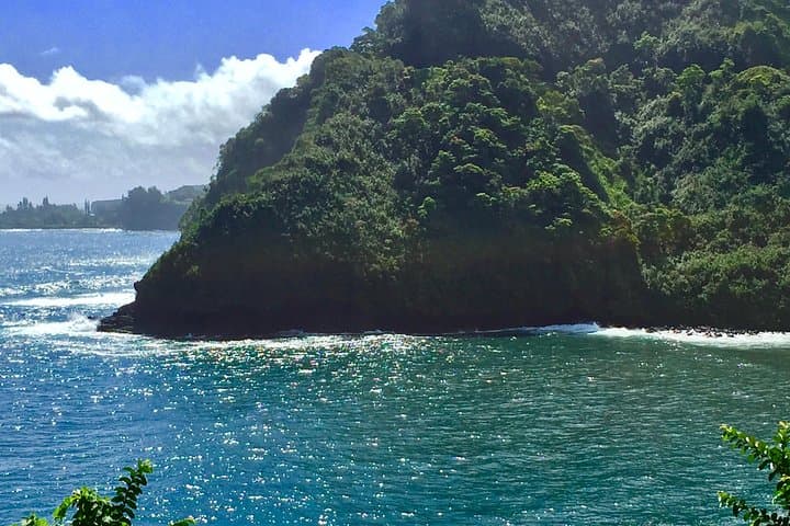 Halfway to Hana: Private 4-Hour Road to Hana Experience from Paia photo 3